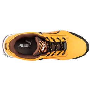 Botín Dash Wheat Mid Puma