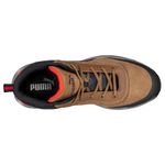 Rapid-Brown-Puma