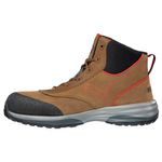 Rapid-Brown-Puma