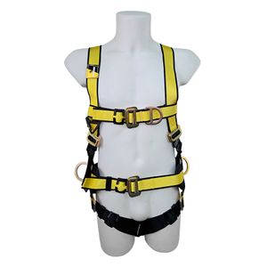 Arnes 4 Argollas Profesional con Soporte Lumbar