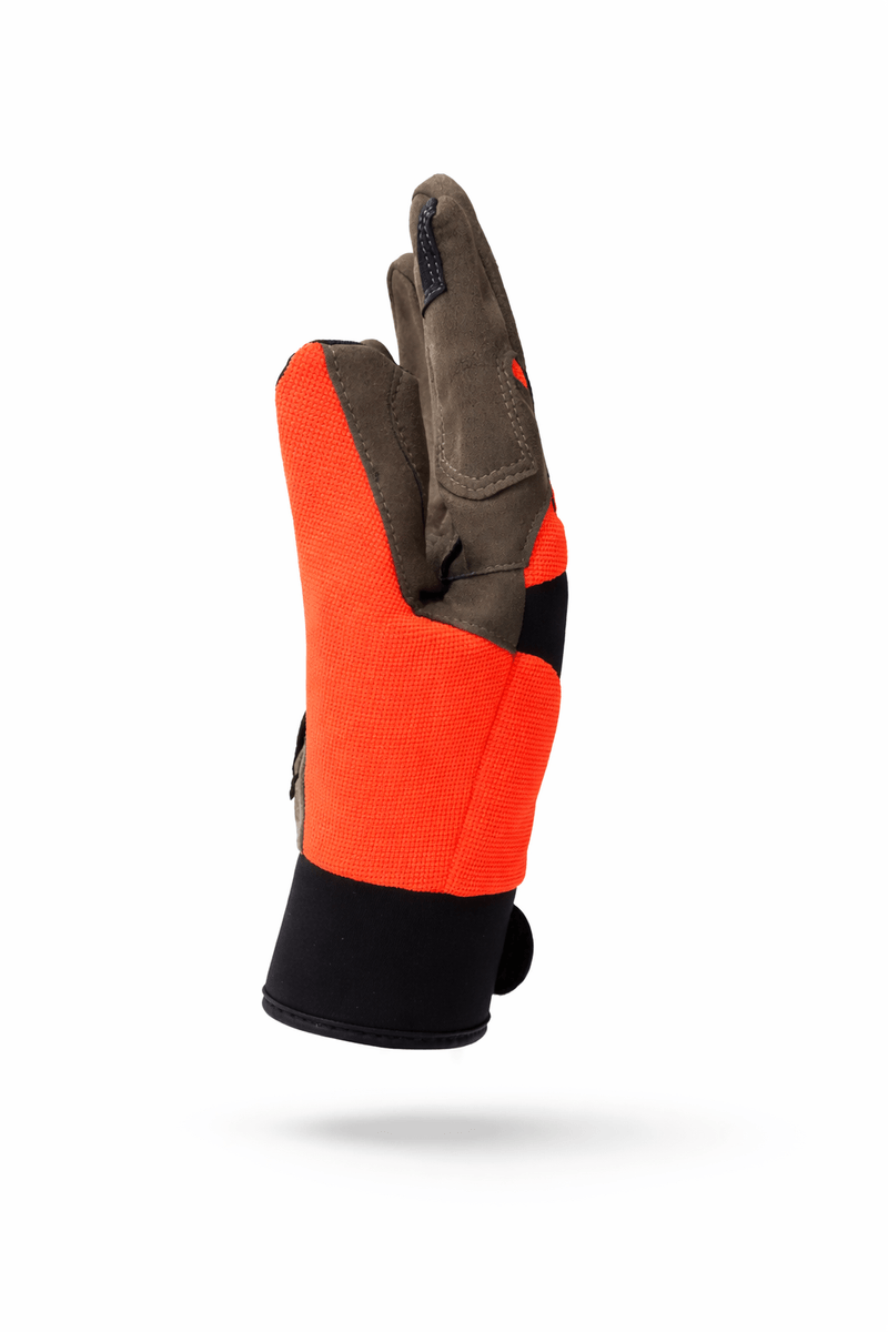 gear-2